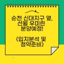 신대선월공인중개사사무소 | 순천 신대지구 옆, 선월 우미린 분양 예정!(입지분석 및 청약준비)