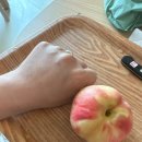 프레델 대극천 복숭아 딱복파들 모여라 1kg 내돈내산 후기