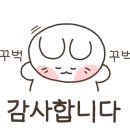 피에이치31