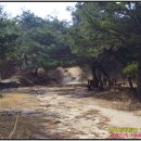 동주산성 이미지