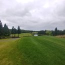 스프링데일 골프&리조트 이미지