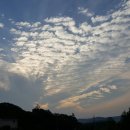 경희남정우한의원 이미지