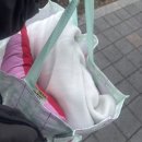 김앤왕 | 뭔 셔틀이야. 감정으로 따지고 보면 내가 니 따까리였지.