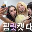 핌릿캣 대통합