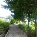 사봉면-7 이미지