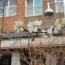 대지-걷기 이미지