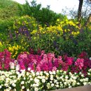 남산 산책로 이미지