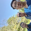 광릉내로 Daum카페