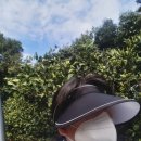 원이네농장 이미지