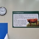 수원축산물도소매센터