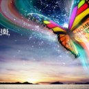 홈앤쇼핑 노동조합 이미지