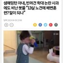 샘해밍턴네 반려견 가지, 만두 근황 이미지