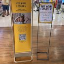 롯데문화홀 | 범계아이랑 평촌롯데백화점 문센 여름프로그램 후기 일정 가격 롯데문화홀