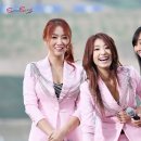 큐코리아 이미지