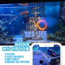 Fun&Fun GAME ZONE B | 여름방학 부산 여행 - < 씨라이프 부산 아쿠아리움 >아이와 실내 가볼 만한 곳.