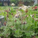 삼강주유소 이미지