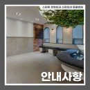 스마트 정형외과 신경외과 동물병원 네이버블로그