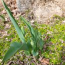 숲속&펜션 이미지