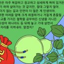 박가화로