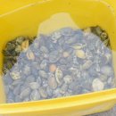 광명펜션 이미지