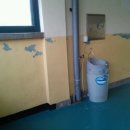 청파초교(병설유치원) 이미지