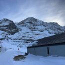 신율로68번길(3-90) | 융프라우 VIP 패스 뽕 뽑는 코스 꿀팁 융프라우요흐 라우터브루넨 쉴트호른