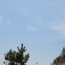 삼호농장4 이미지