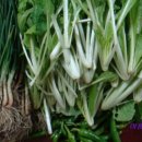 다뽑아가라 이미지