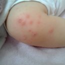 구로-구로-구로-368 이미지