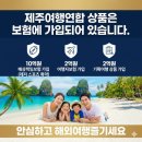 (주)제주케이여행사 Daum카페