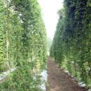 김성호농장 이미지