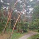 솔바람펜션 이미지