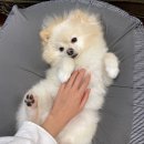 겟풀(GETPOOL) 이미지