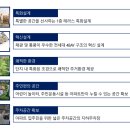 신화하우스 이미지