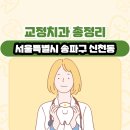서울은치과의원 | 서울특별시 송파구 신천동 교정치과 총정리