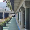 도림천 공중화장실 이미지