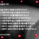 숨문학작가협회 네이버블로그
