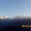 사랑코트 이미지