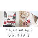 당내지 화장실 | 기호성 너무 좋은 강아지유산균 [식스스텝 유산균]