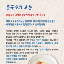 돗도구리