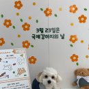 완산애견 이미지