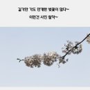 가디스네일