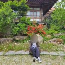 유배지 민박 이미지