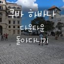 다운타운 이미지