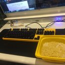 킹스PC방 이미지