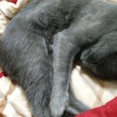 이소영동물병원 이미지