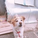 신영이발소