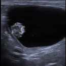 이레외과동물병원 이미지