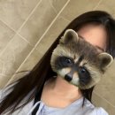 머리할때됐다 이미지