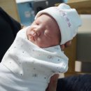 김군네초밥가게 | [+1] 반가워 봄이야♥ 제왕절개 첫째날